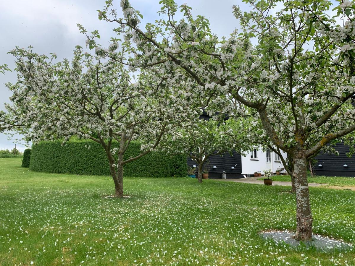 Store Heddinge Tusindfrugt B&B المظهر الخارجي الصورة