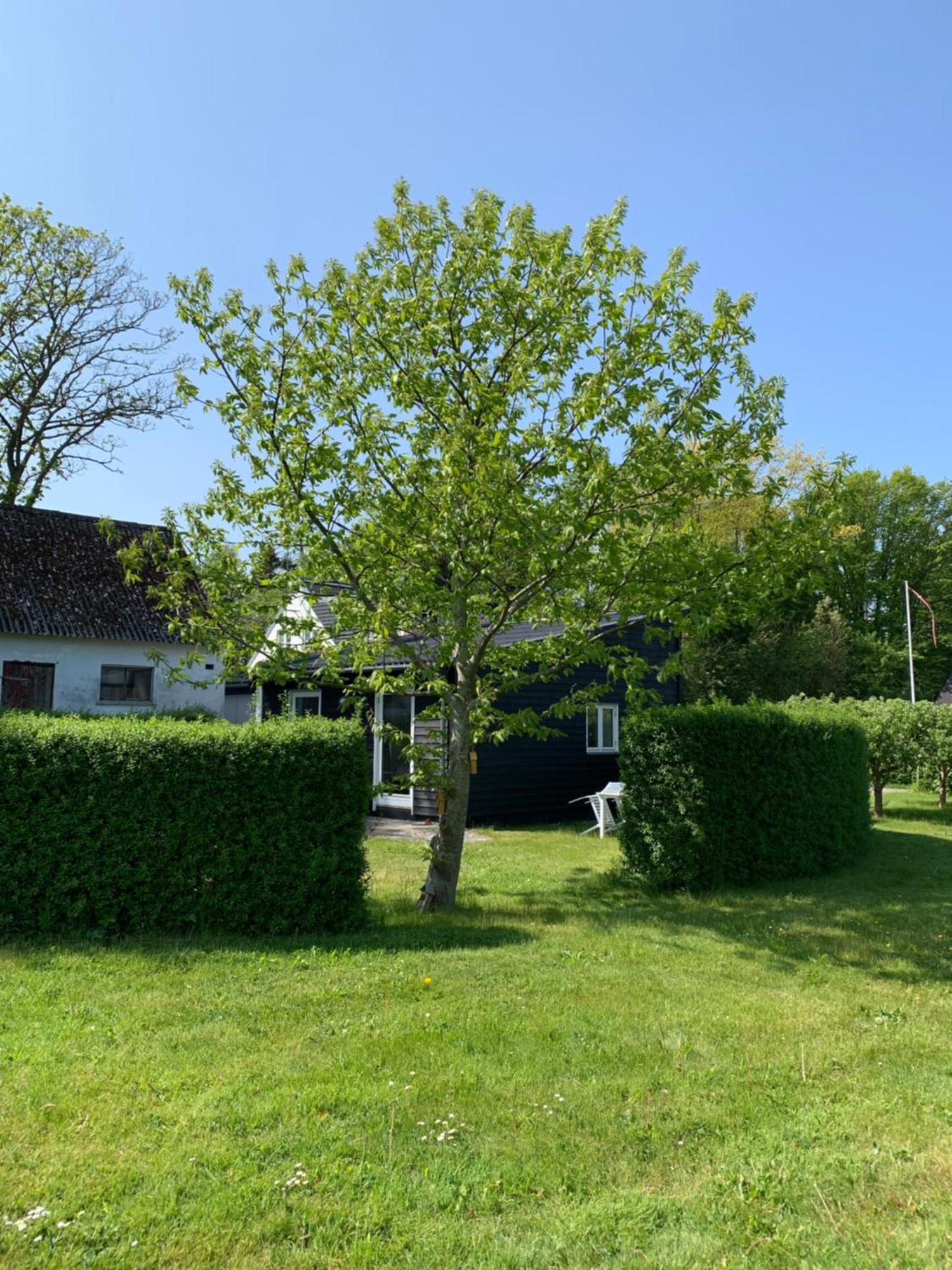 Store Heddinge Tusindfrugt B&B المظهر الخارجي الصورة